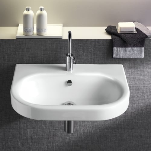 Bissonnet Daytime 55 Pro 21-11/16' Vitreous China Wall Mounted Bathroom Sink wit